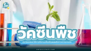 วัคซีนพืชคืออะไร? ประโยชน์และวิธีการใช้งานเพื่อเพิ่มผลผลิตทางการเกษตร